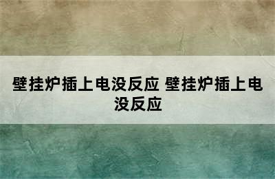 壁挂炉插上电没反应 壁挂炉插上电没反应